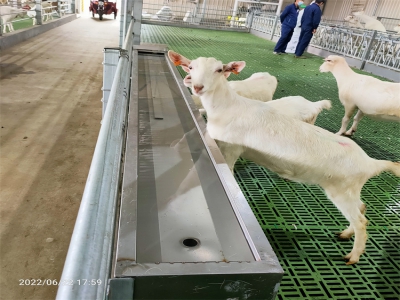 北方牧原牧場：冬季牛羊飲水難題的破局者
